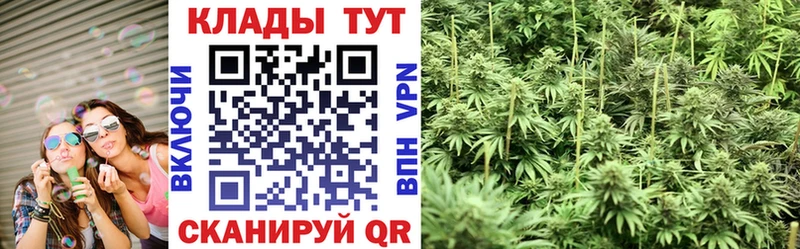 Где купить Новошахтинск Альфа ПВП  Мефедрон  АМФ  Кокаин 